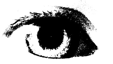 L'oeil, Thomas Pourchayre